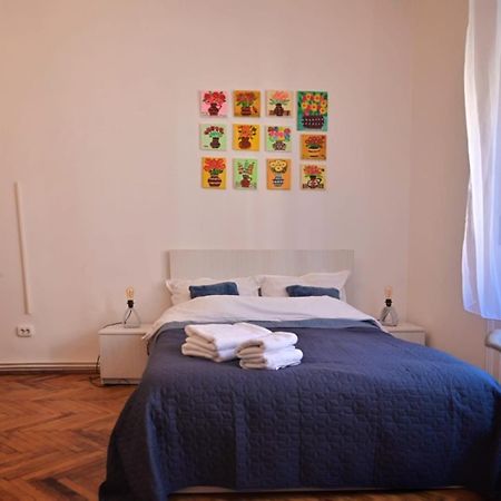 Travel And Music Apartment Temesvár Kültér fotó