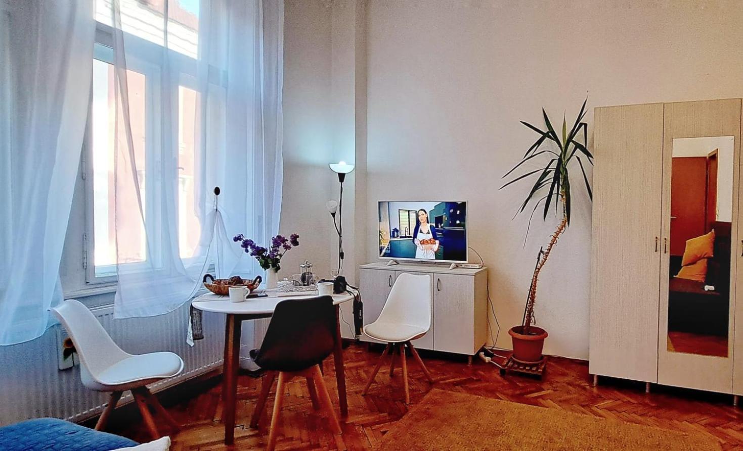 Travel And Music Apartment Temesvár Kültér fotó
