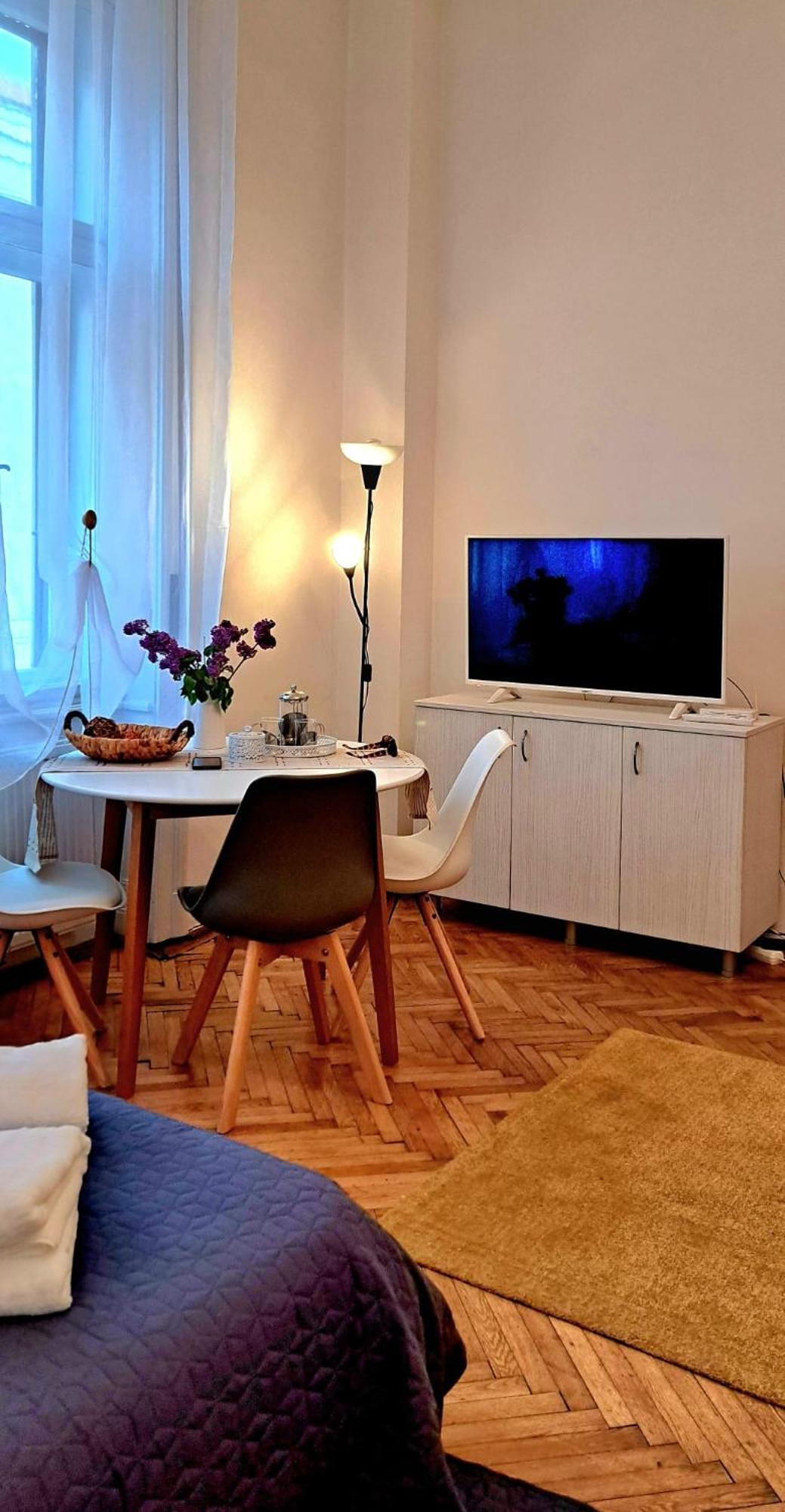 Travel And Music Apartment Temesvár Kültér fotó